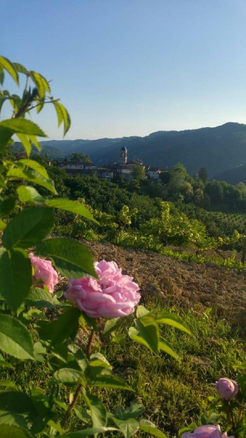 Hotel Yurte In Langa Bosia Zewnętrze zdjęcie